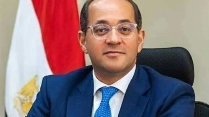 دولتان عربيتان تطلبان الاستفادة من تجربة مصر في تطوير المنظومة الضريبية والميكنة