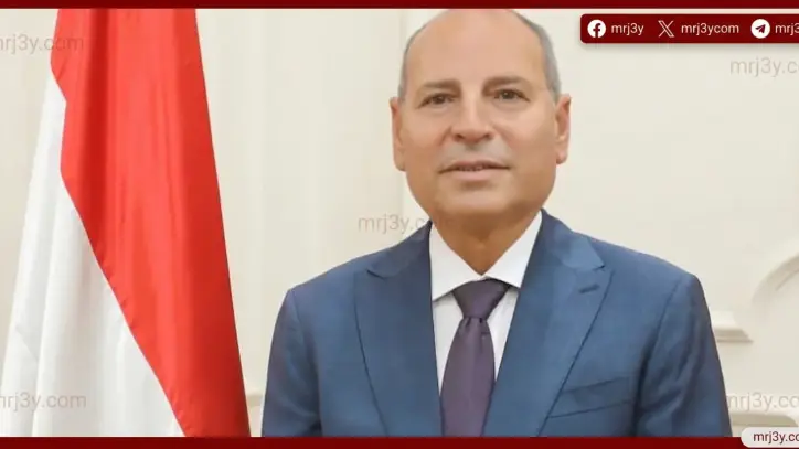 محافظ القاهرة يقرر العمل أونلاين بالديوان العام ضمن خطة ترشيد الطاقة