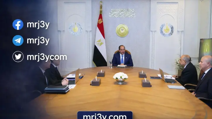 الرئيس السيسي يتابع خطط تأمين الطاقة واستقرار الكهرباء