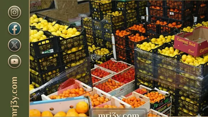 الزراعة: تحركات مكثفة لزيادة الصادرات الزراعية المصرية إلى دول الخليج