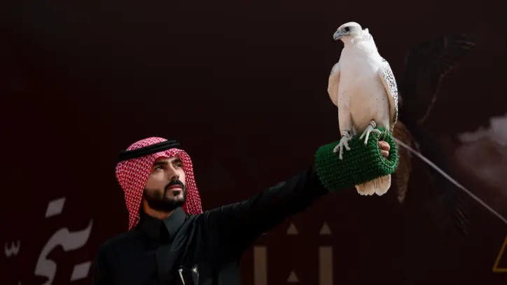 الصقارات السعوديات يحققن حضورا بارزا في مهرجان الملك عبدالعزيز للصقور 2025