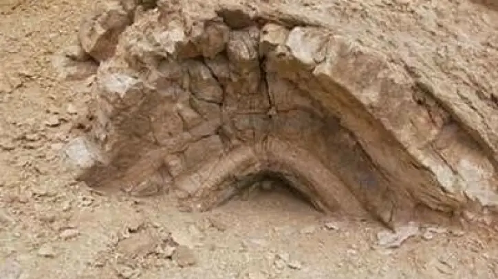 قبة الحسنة.. متحف جيولوجي مفتوح يعود لـ40 مليون سنة في قلب الجيزة