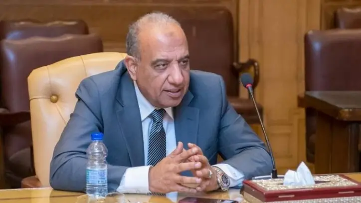 مصر والجزائر تبحثان تعزيز التعاون في مجالات الكهرباء والطاقة المتجددة