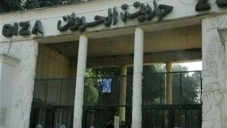 خطة تطوير كبرى لحديقة الحيوان: استقدام 118 فصيلة جديدة ووصول أول أسود ونمور