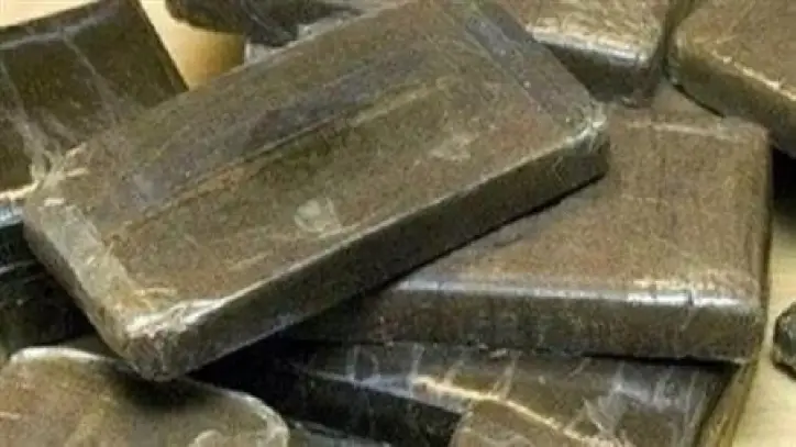 حبس 6 متهمين في قضية «طن الحشيش» بالإسكندرية واستمرار التحقيقات لكشف المتورطين