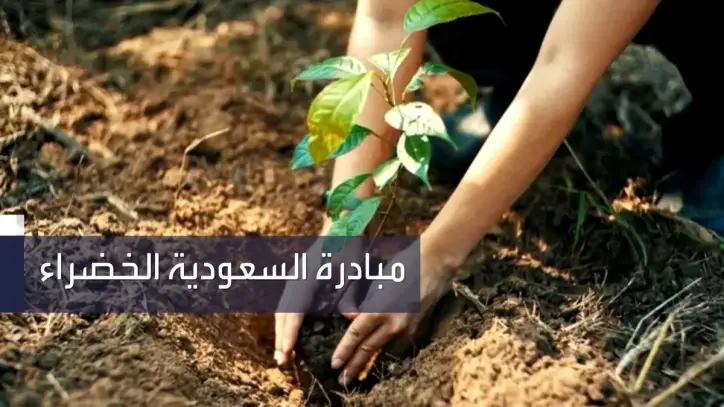 هيئة تطوير محمية الملك سلمان وجامعة تبوك تطلقان مبادرة لزراعة 1000 شتلة