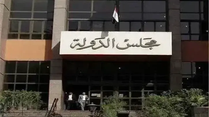 الإدارية العليا تتلقى 298 طعنا على نتائج المرحلة الثانية لانتخابات النواب وتحدد 7 ديسمبر لنظرها