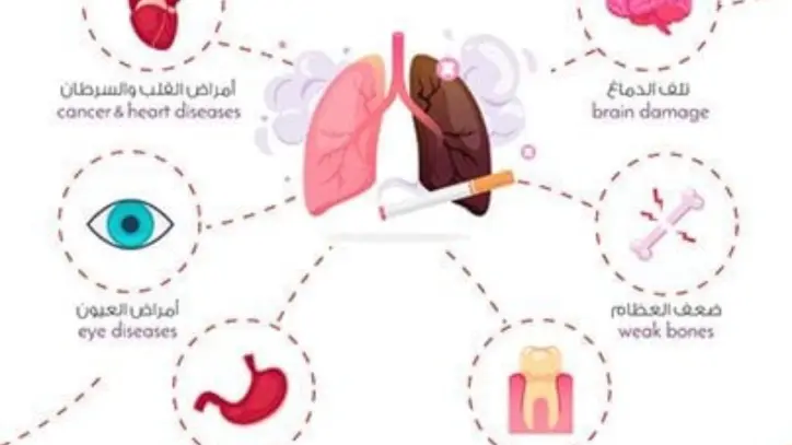 الدولة تكثف جهودها للحد من أضرار التدخين وحماية الصحة العامة